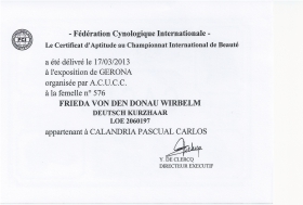 Imagen de calificación de la federation Cynologique Internacionales cara 1